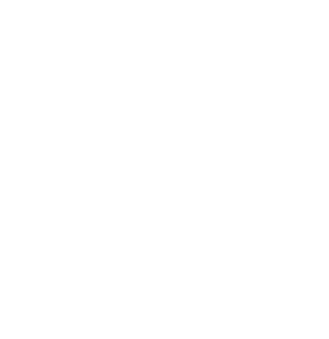 RCC Logo in white